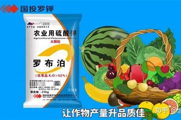 钾肥对果树的作用