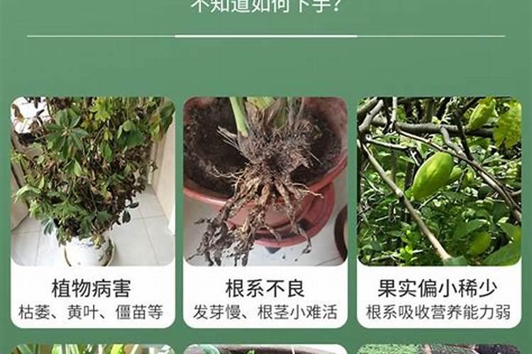 补钾的食物有哪些 哪些食物可以补钾