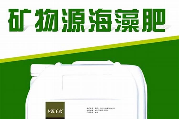 甘蓝和菜花的区别