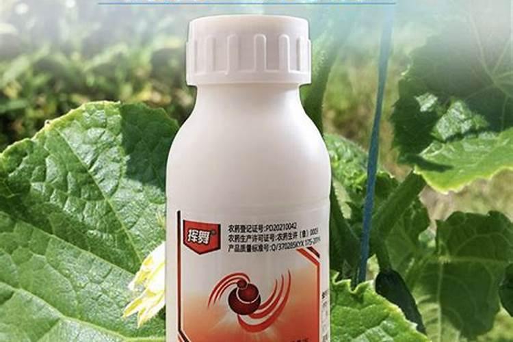 甜椒种植叶面肥很关键,甜椒种植叶面肥该怎么施肥？