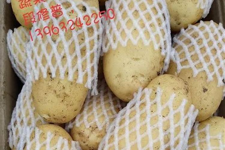 土豆追肥用什么肥料？用了这些肥料土豆养得活才怪
