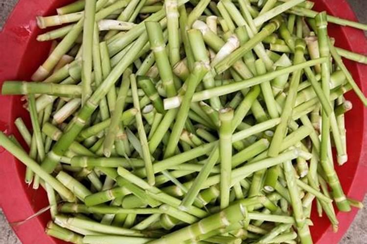 果树增甜用什么肥料