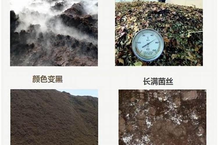 氮钾追肥的使用方法