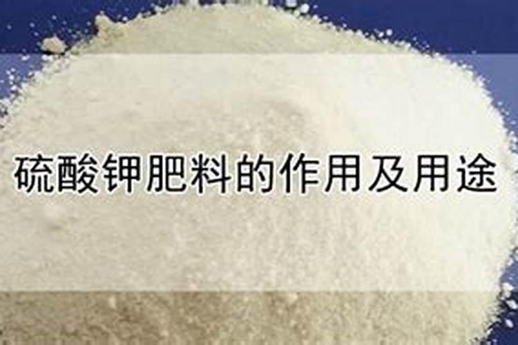 君子兰用什么肥料