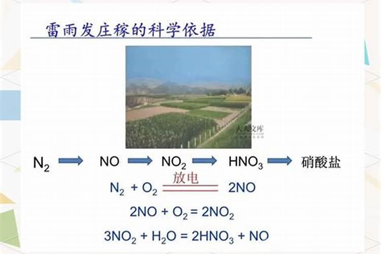海南地区能长棉花草吗