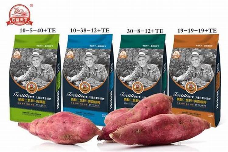 葡萄生长中后期,对肥料的使用都有哪些讲究？