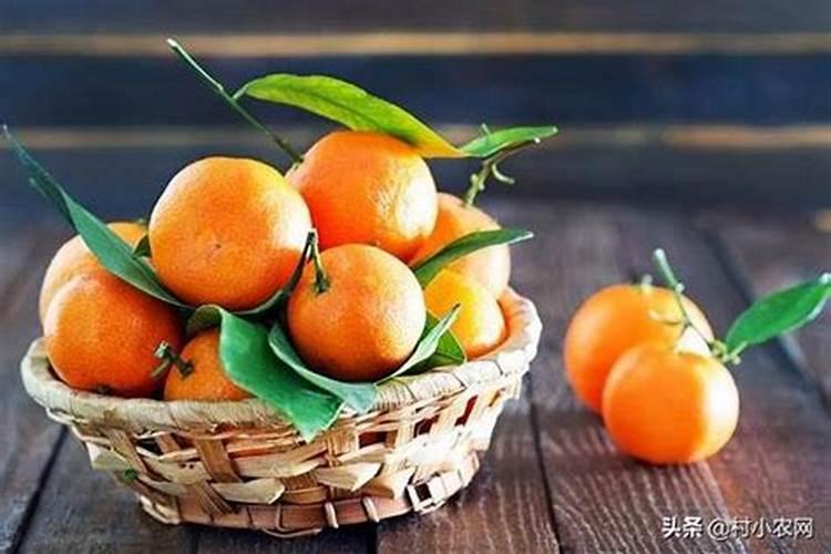 柠檬树底肥放什么肥好(底肥施用方法)