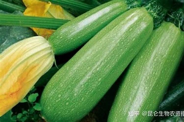 硝酸钾与硫酸钾的区别是什么？现在种植西葫芦用哪种钾肥最好百度...