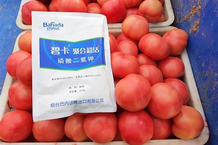 水溶肥会不会失效