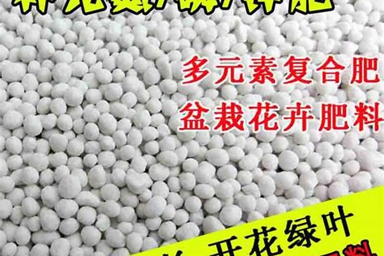 草莓怎么施肥？施什么肥比较好？