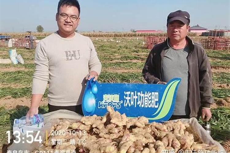 色素如何调配