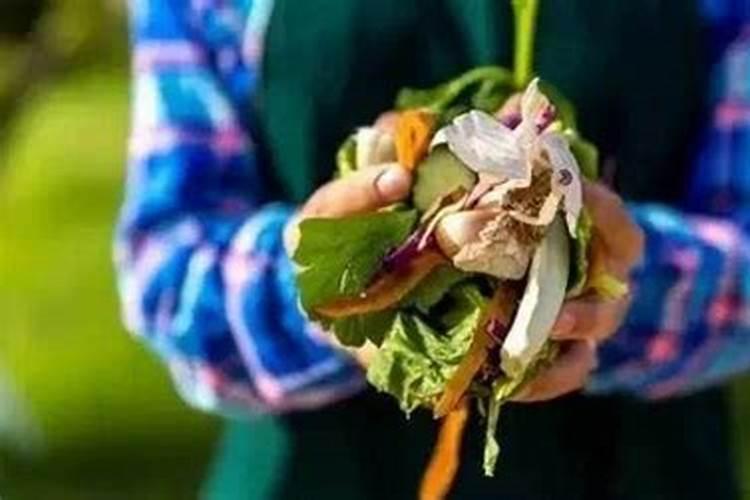 鱼肠煮熟可以作为肥料直接埋花卉土里吗？你怎么看？