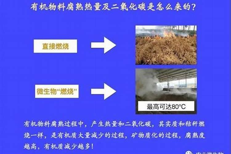 低氯的复合肥1班氯离子含量多高