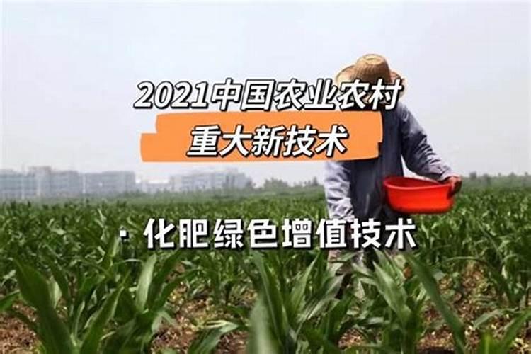 芸豆树能不能留明年再长新叶