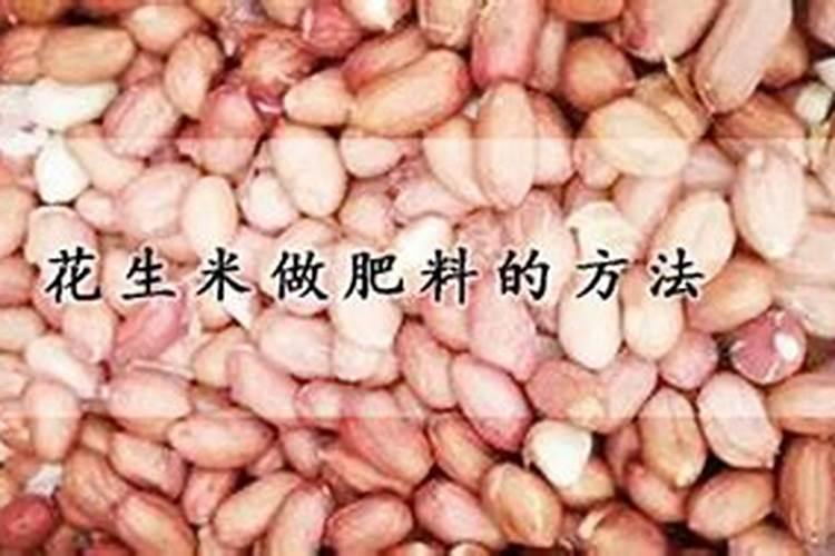 花生敷做肥料怎样使用