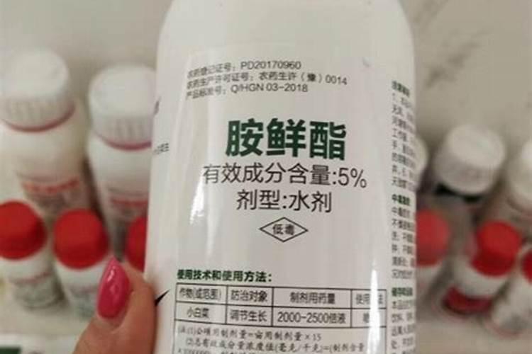 14羟基芸苔素甾醇作用是什么