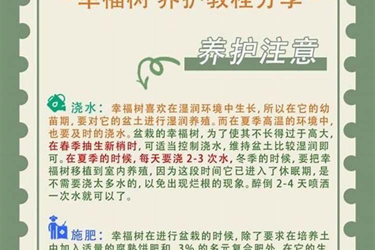 树苗防冻好方法
