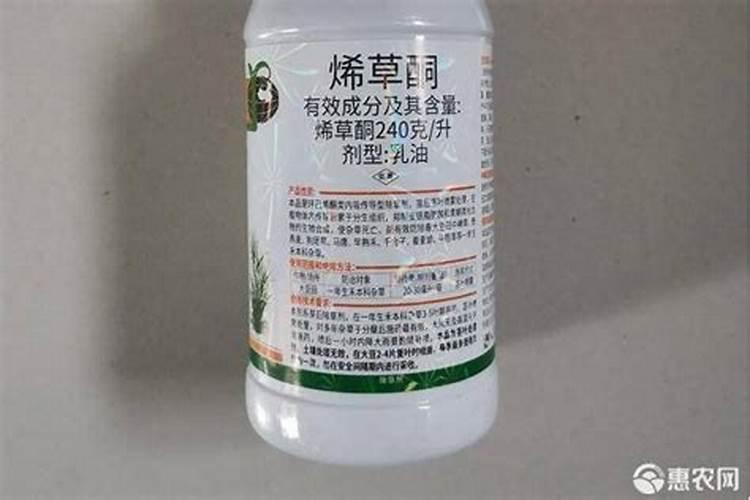 红肉苹果树施什么肥？红肉苹果树的种植管理技术