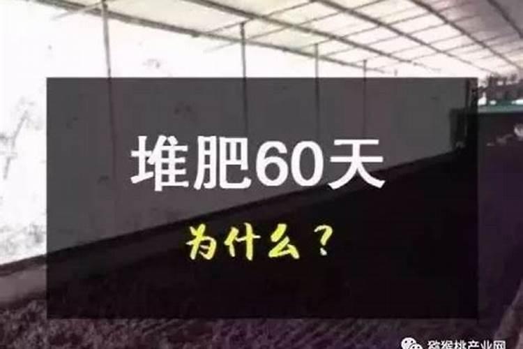 播种多肉植物可以直接用复合肥吗