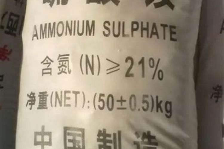 尿素肥料肥效多长时间
