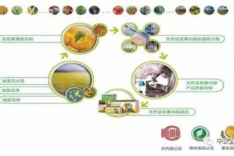 水稻硼肥的作用及使用方法