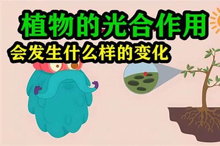 中、晚熟苹果树如何补钾？