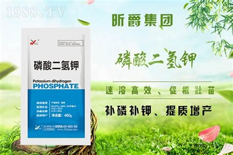 一亩地施多少磷肥合适  磷肥什么时间施最好