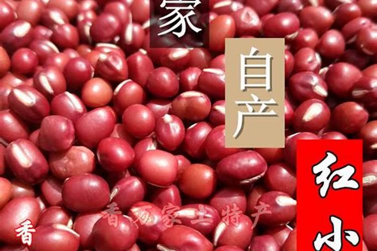 龙树冬天能剪枝吗？