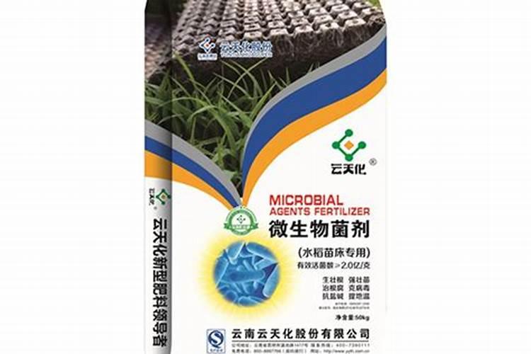 苹果摘袋后可不可以浇水 这很重要