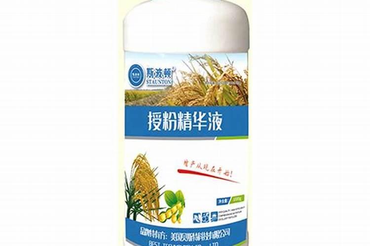 好养抗寒的客厅大绿植