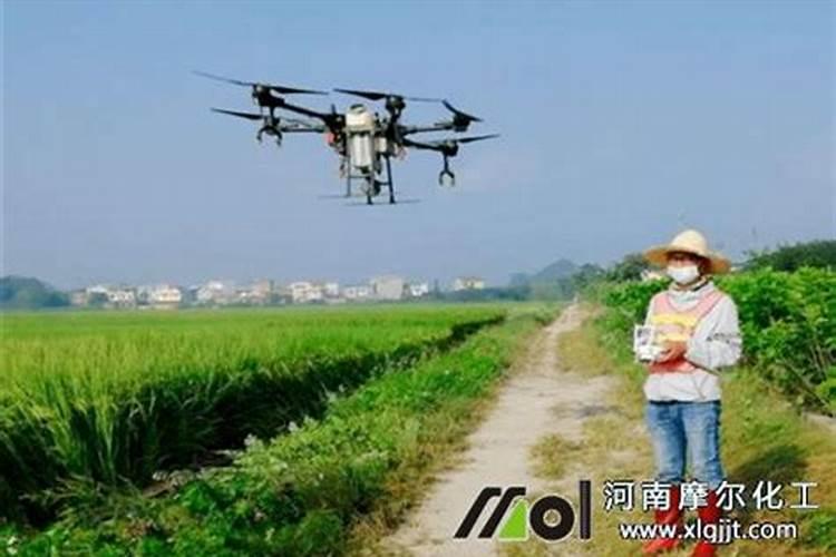 桂花树施什么肥料最好