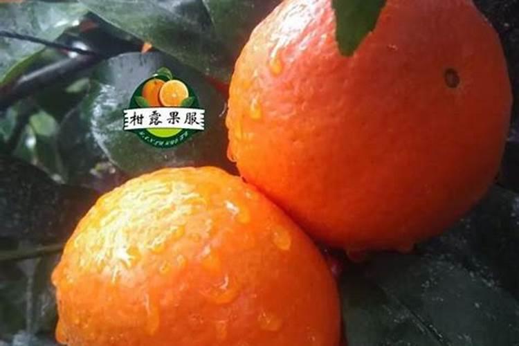 柑橘着色期用硫酸钾跟硫酸钾镁哪个好