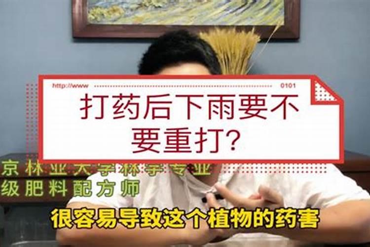 桃子打农药吗