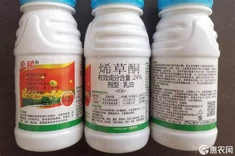 中国硒都是哪个城市