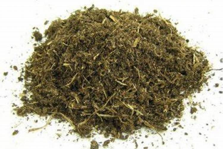 养花的氮肥有哪些