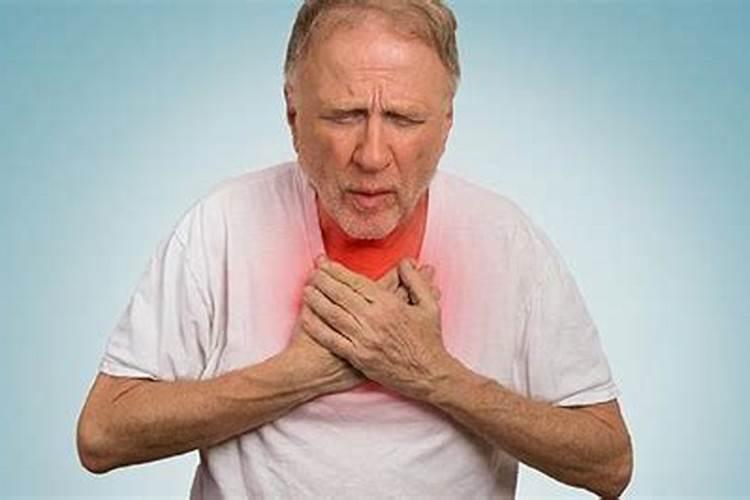 杉树什么月份施肥最合适