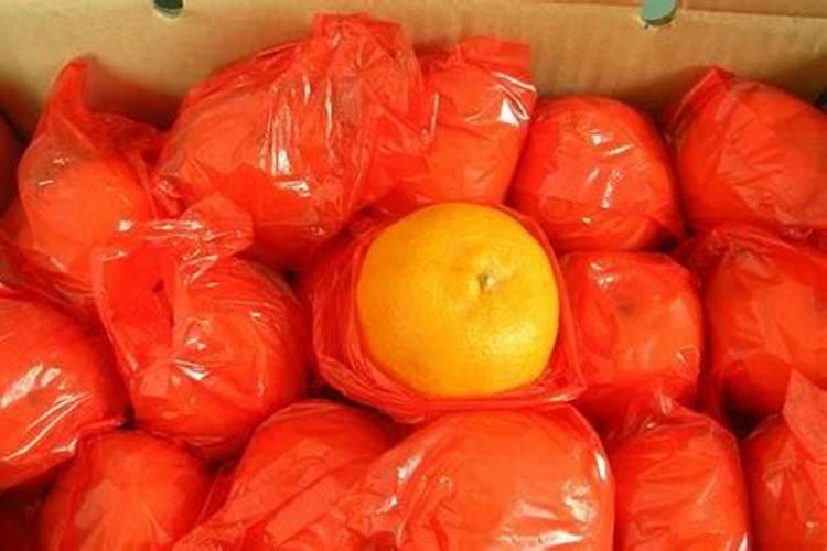 咨询:怎么处理松木防腐防水？要注意什么？