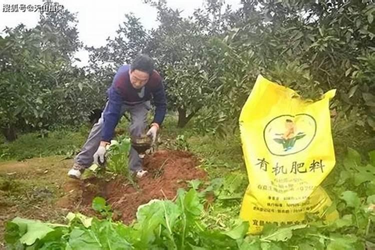 铵态氮是什么肥料
