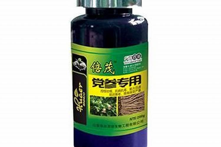 党参育苗栽培技术