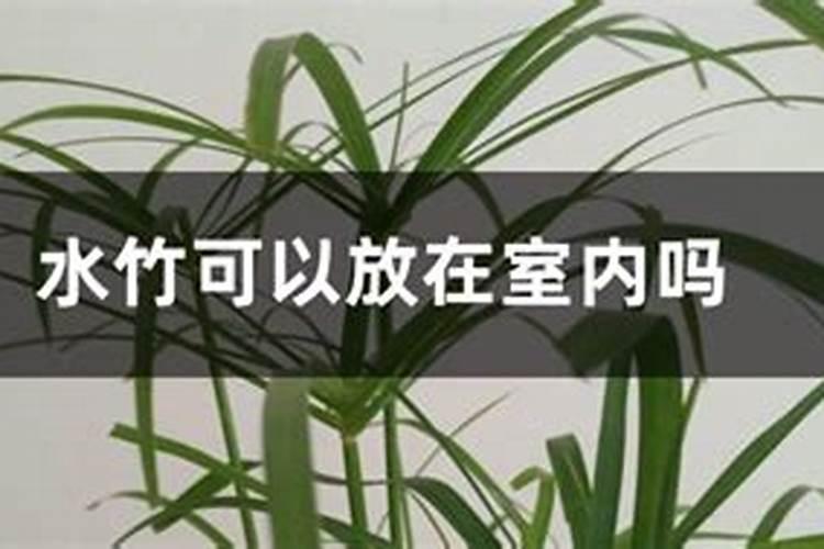 (化学)请问有钾盐,钠盐,铵盐什么难溶或微溶的？