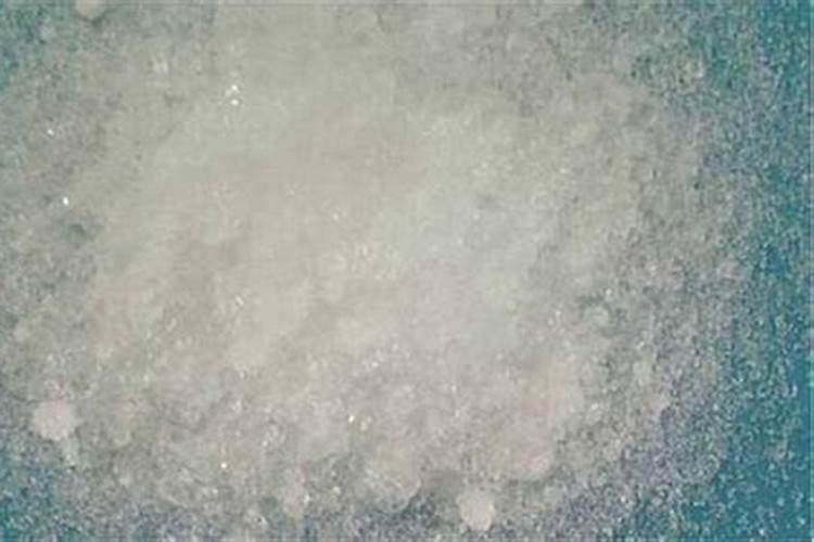复合肥可以浇君子兰吗