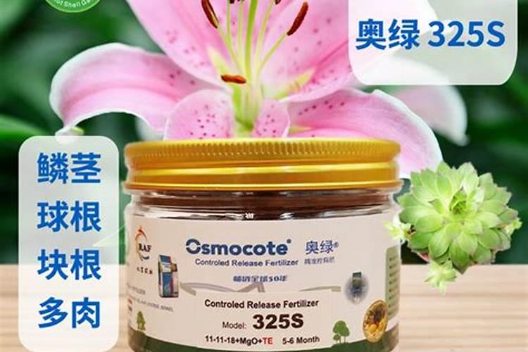 球兰要施什么肥料