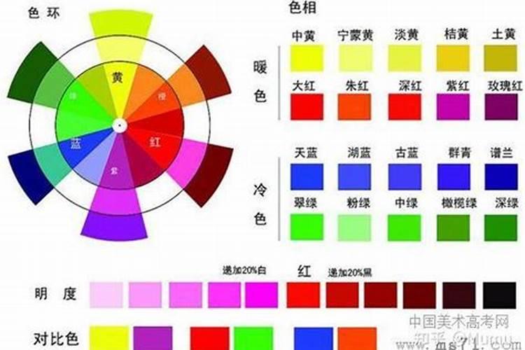 向北的阳台可以种植什么花草？
