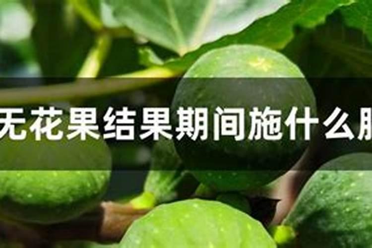 高钾水溶肥什么时候用,在地里几小时见效