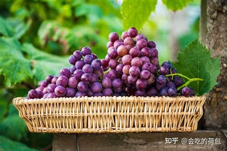 葡萄叶面硼肥盛花期能喷吗