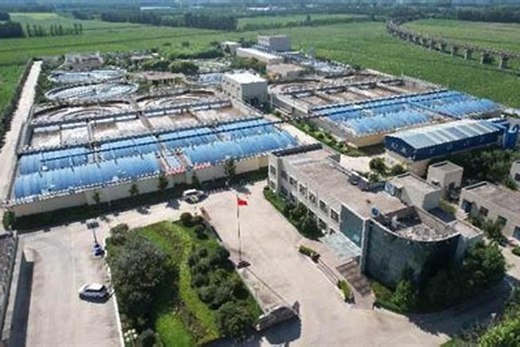 荞麦喷含氨酸水溶肥料的作用