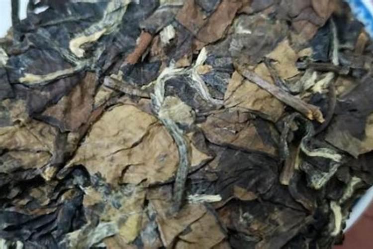 果树需要哪几类营养物质需要哪些矿质元素