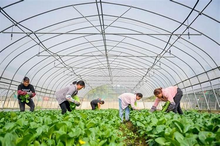 山东亿丰源生物科技股份有限公司怎么样