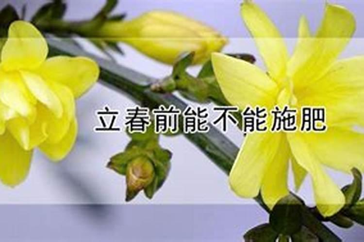 地膜覆盖种植马铃薯的方法是怎样 65533