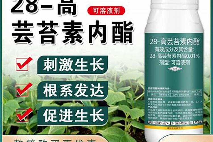 氨基酸水溶肥与那个芸苔素能打白菜吗？